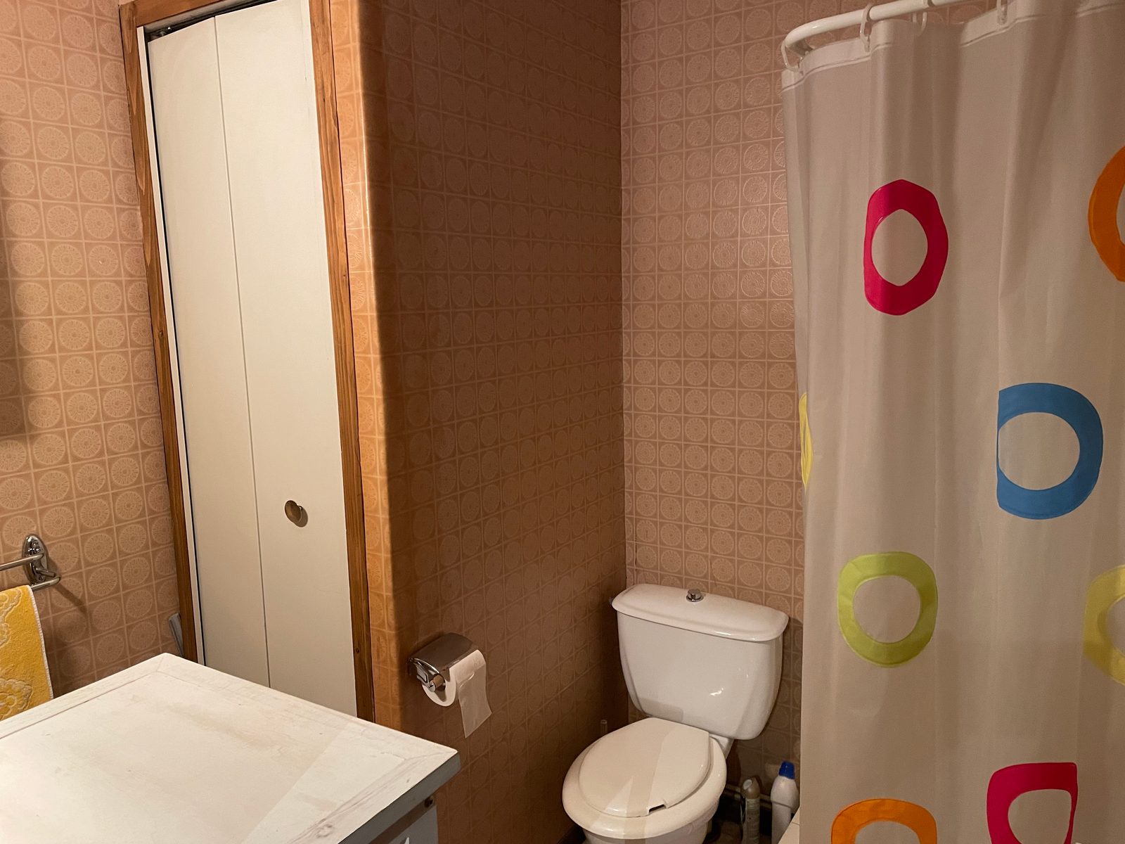 Salle d’eau : douche et wc
